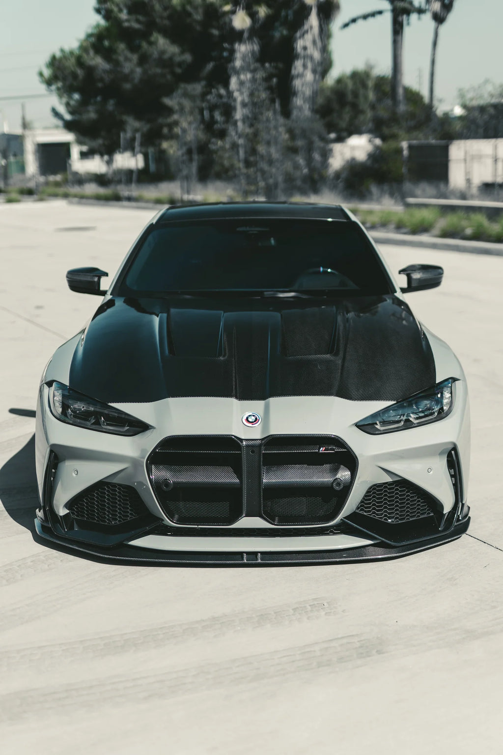 G8X M3 M4 PQ Alpha Hood V1