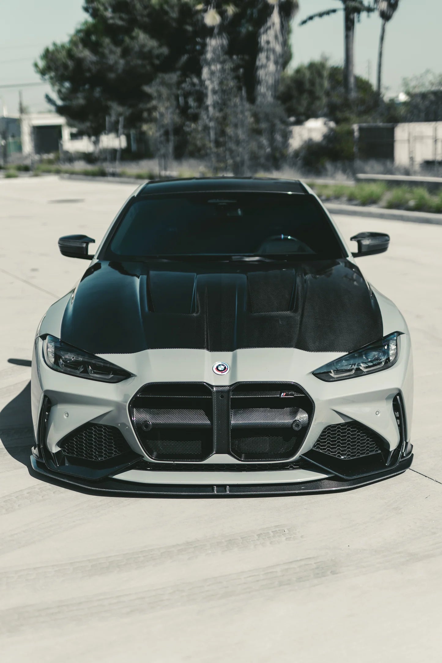 G8X M3 M4 PQ Alpha Hood V1